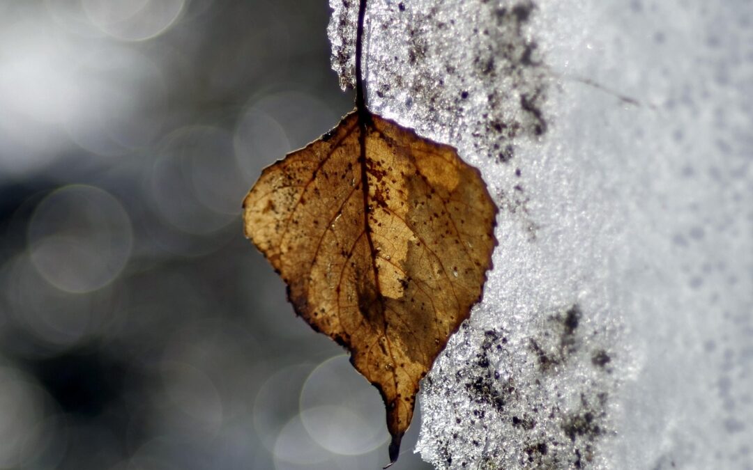 Concrete Solutions Built For Utah’s Freeze‑thaw Climate. ~ The Quick…