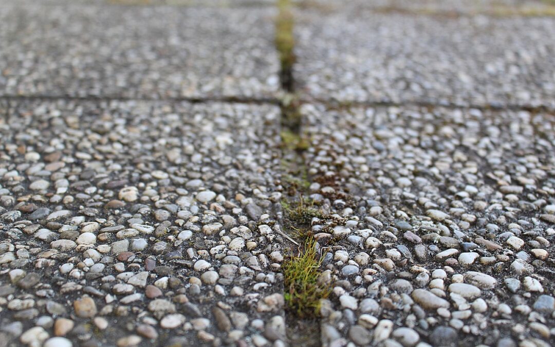 Fillmore Concrete Quote: Find The Best Fillmore Concrete Quote For…