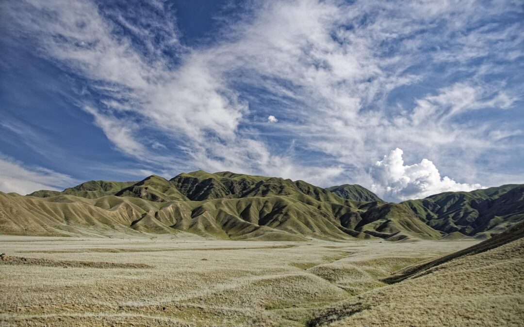Concrete Heber Valley: Beautiful Concrete Heber Valley Projects Shaking Up…
