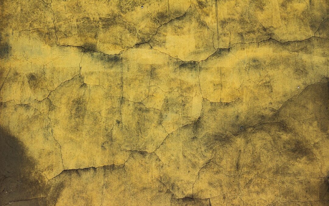 Concrete Resurfacing – Give Your Concrete A Fresh Look: Concrete…