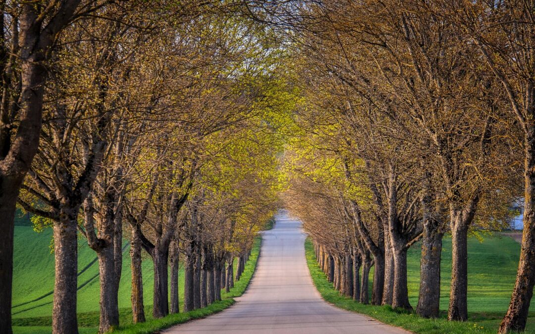 Do I Need A Permit For Concrete Driveway Sanpete County…