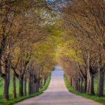 Do I Need A Permit For Concrete Driveway Sanpete County... do-I-need-a-permit-for-concrete-driveway-Sanpete-County_and_Commercial-Projects