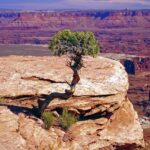 How Much Does Concrete Cost Per Yard In Utah: Planning... how-much-does-concrete-cost-per-yard-in-Utah_and_Comparing-Bids