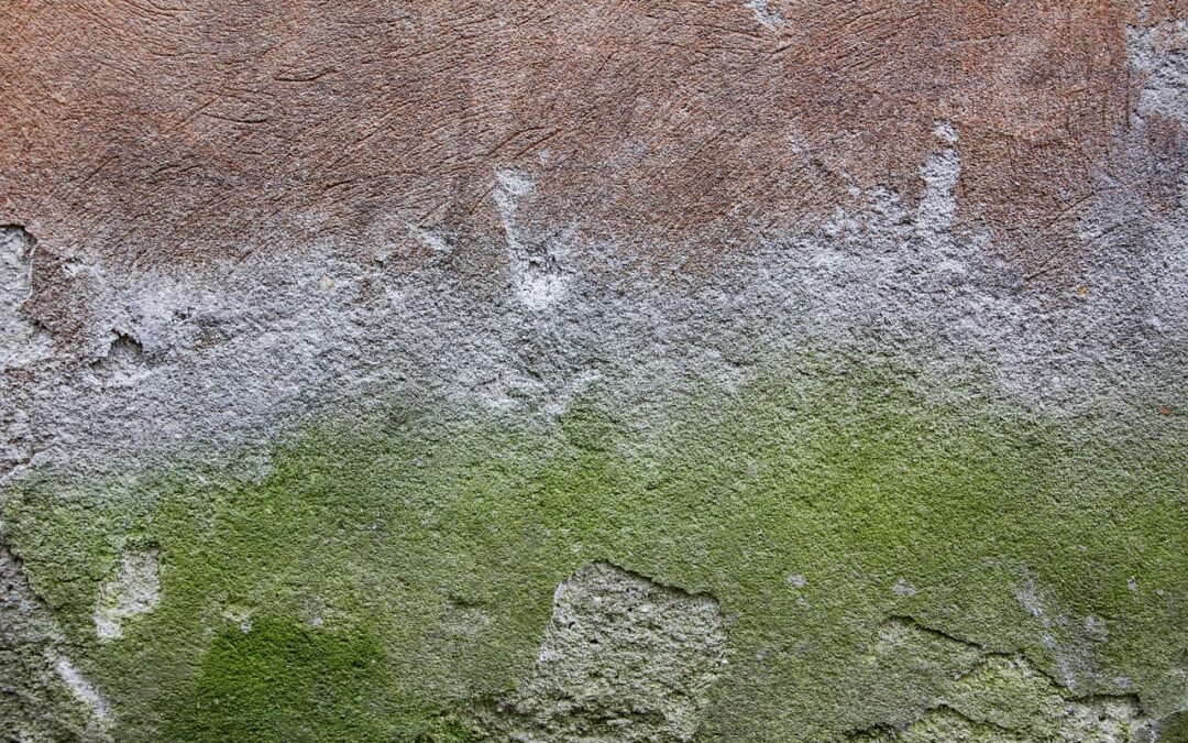Fast Concrete Estimates ~ Give Your Fillmore Concrete A Fresh…