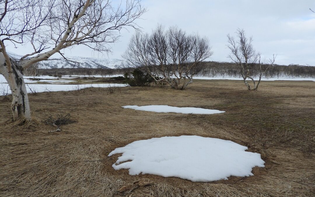 Utah Freeze Thaw Concrete Damage Solutions: Smart Utah Freeze Thaw…