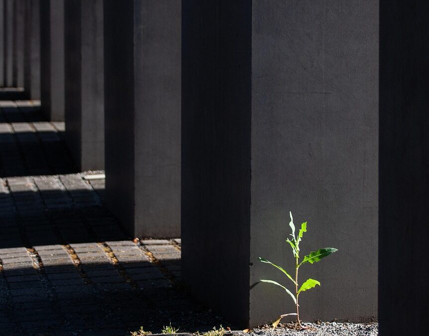 Concrete Fillmore | Building Stronger Home Additions With Concrete Fillmore…