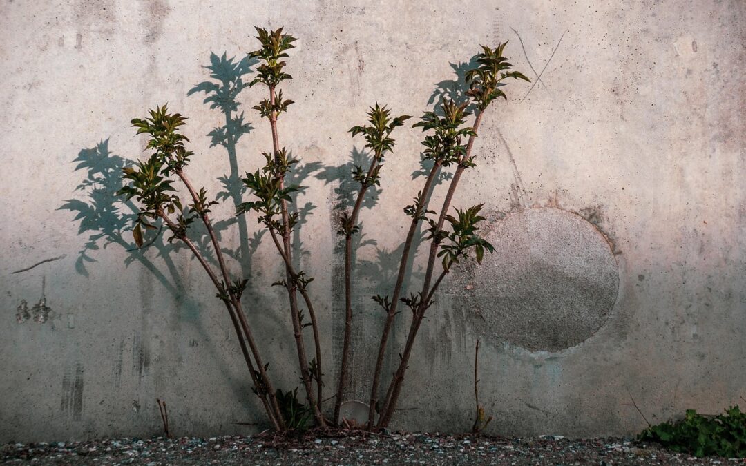 Concrete Vernal: Planning Your Next Big Project: Concrete Vernal Cost…