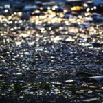Cost To Fix Foundation Cracks In Utah / Keep Your... cost-to-fix-foundation-cracks-in-Utah_and_Project-Budgeting