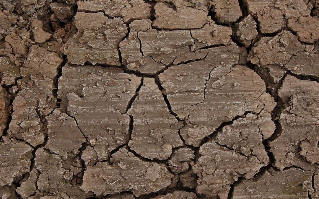 Foundation Crack Repair Contractors &raquo; Keep Your Salt Lake City…