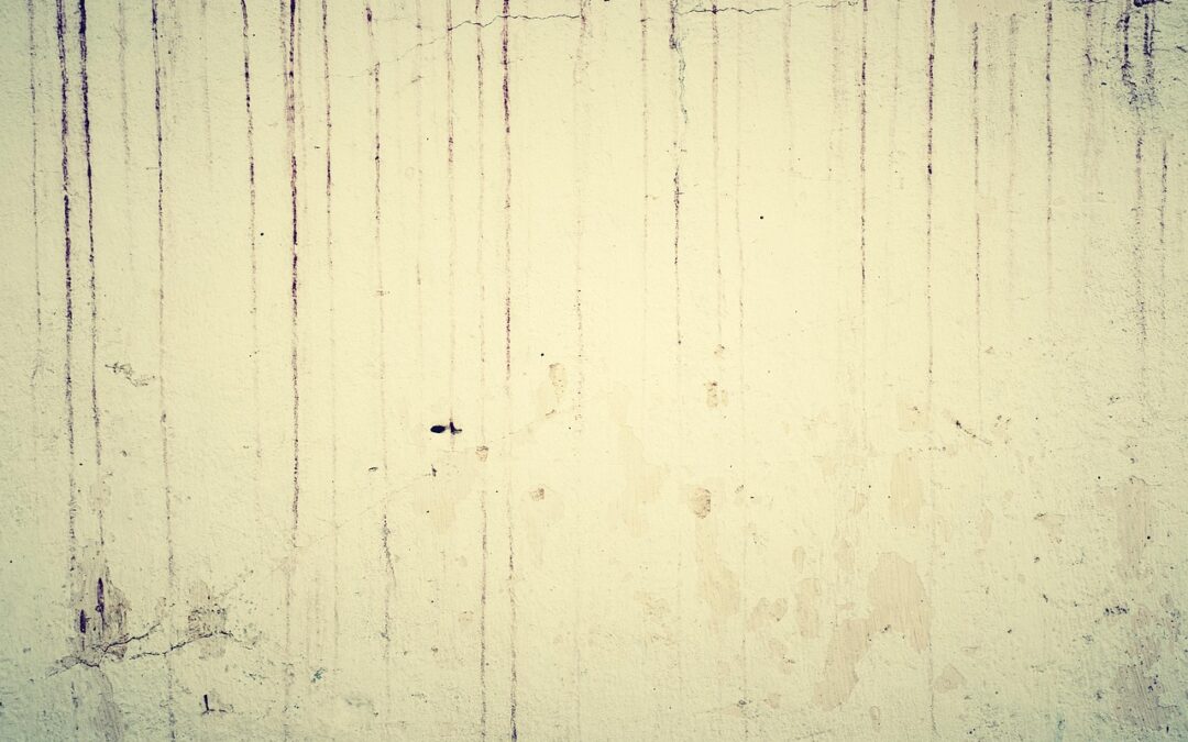 +good +concrete +american +fork: How To Find Good Decorative Concrete…